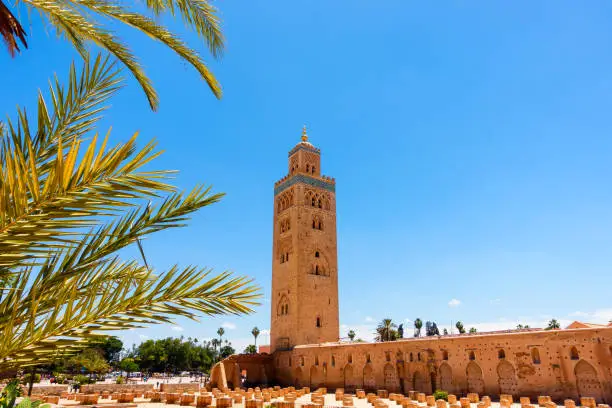 Koutoubia Mosque, Marrakech, Morocco, with sunlit palm tree leaves in the foreground.