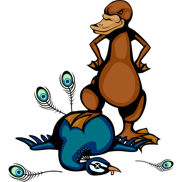 Platypus Vs Peacock Stock Illustration - Download Image Now - Duck-Billed  Platypus, Animal, Animal Body Part - iStock