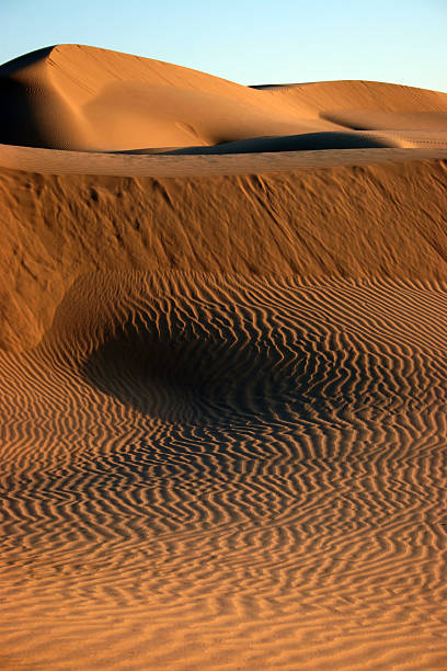 Sand Dune Desert stock photo