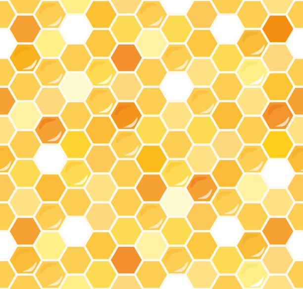 ilustrações de stock, clip art, desenhos animados e ícones de honeycomb seamless pattern background. - activity animal bee beeswax