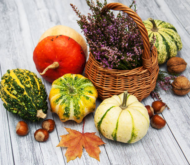 istock Pumpkins with autumn leaves 899321774