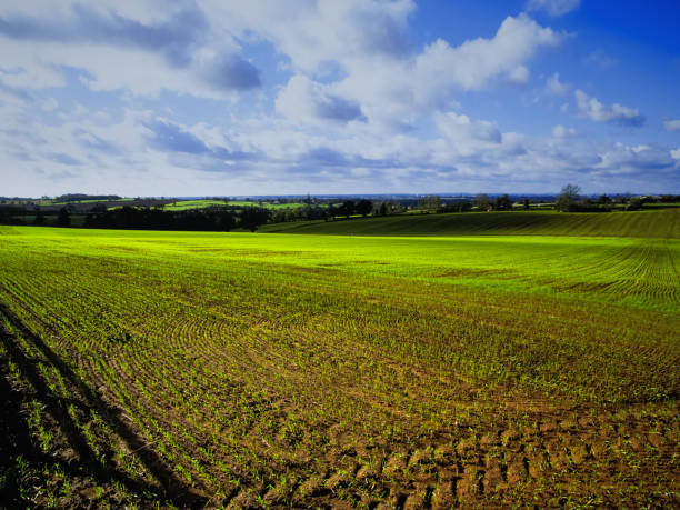 istock farmland landscape agriculture 899322004