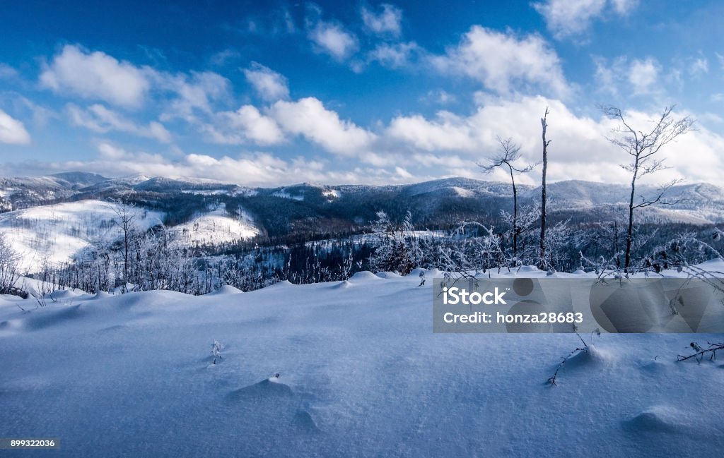 winter Beskids mountains panorama with snow, hills and blue sky with clouds from hiking trail near Velka Raca hill in Kysucke Beskydy mountains winter Beskids mountains panorama with snow, hills and blue sky with clouds from hiking trail near Velka Raca hill in Kysucke Beskydy mountains on slovakian - polish borders Beskid Mountains Stock Photo