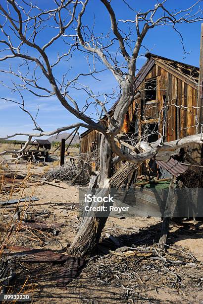 Casa Velha Árvore E - Fotografias de stock e mais imagens de Abandonado - Abandonado, Acabado, Antigo