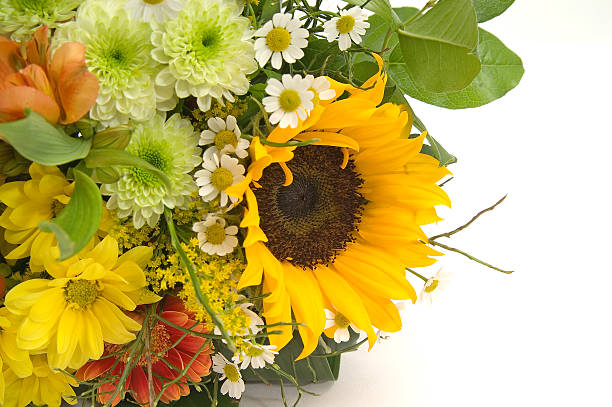 bouquet - perfection gerbera daisy single flower flower fotografías e imágenes de stock