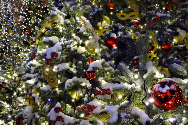 istock background of Christmas trees in the open air. 899324722