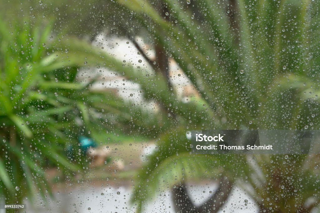 View throug a windowpane at rainy day Looking through a windowpane on a street with palm trees on a rainy day in Mallorca. Porto Colom, Mallorca, Spain. Environment Stock Photo