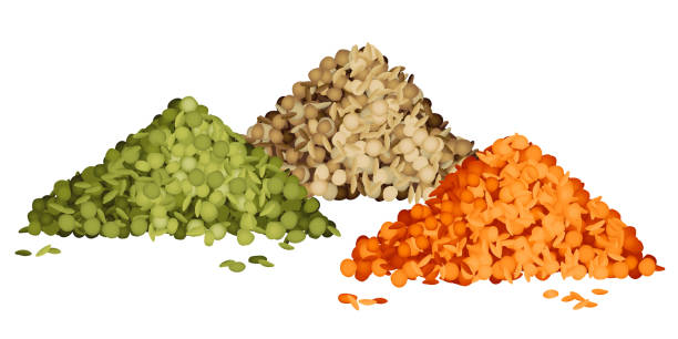 różne rodzaje stosów soczewicy - green lentil stock illustrations