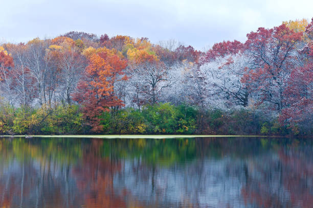 istock Marthaler Pond and Frosty Autumn Trees 899352710