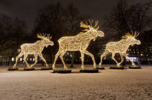 Gigantic elk or moose christmas decoration made of led light