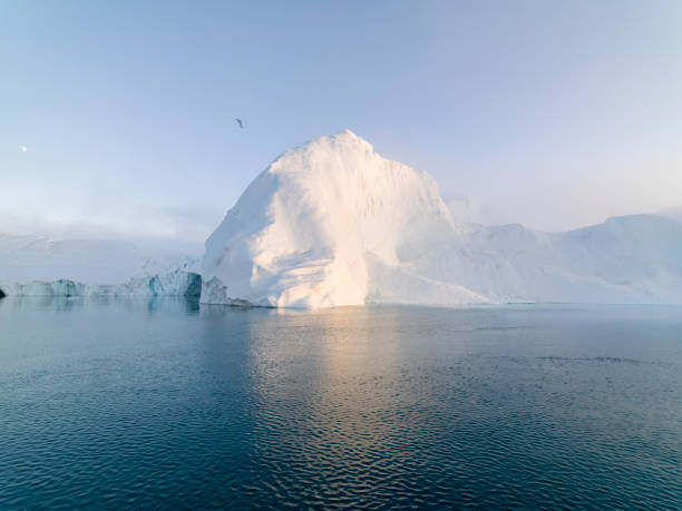istock Arctic Icebergs on Arctic Ocean in Greenland 899355210