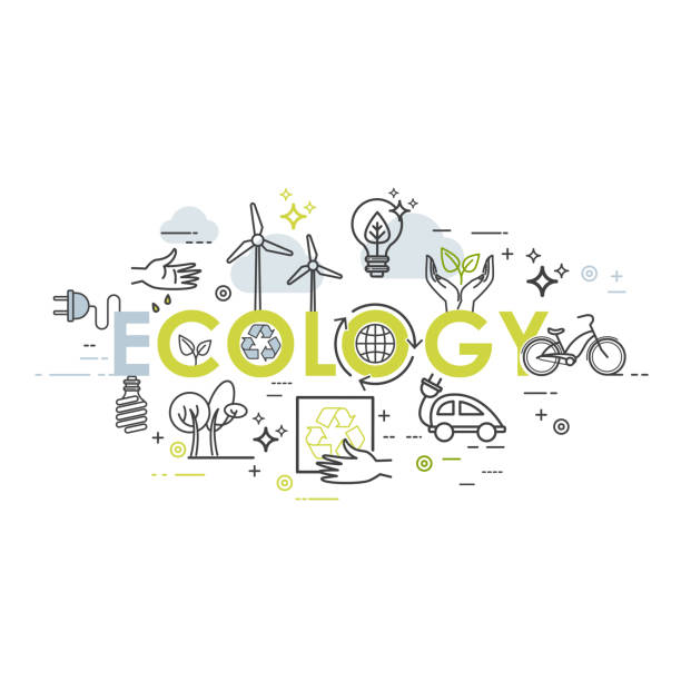 istock Ecology lifestyle, green energy, recycle. Vector template in linear style 899356580