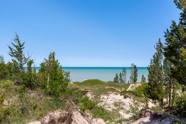 istock Sand Dune Ridge - Pinery Provincial Park, Ontario, Canada 899364222