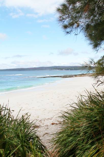 istock white sandy beach view, Jervis bay , Australia 899372652