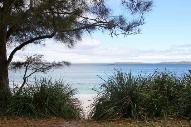 white sandy beach view, Jervis bay , Australia