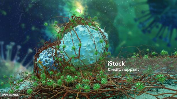 Cancer Cell Stock Photo - Download Image Now - Cancer Cell, Cancer - Illness, Bacterium