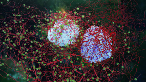 istock Dividing cancer cells 899377362