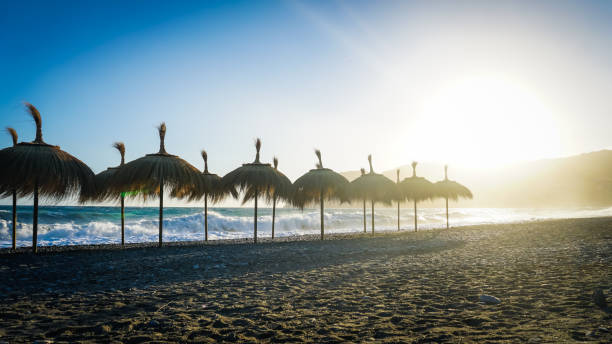 Beach umbrellas at sunset stock photo