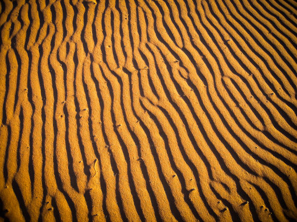Sahara sand stock photo