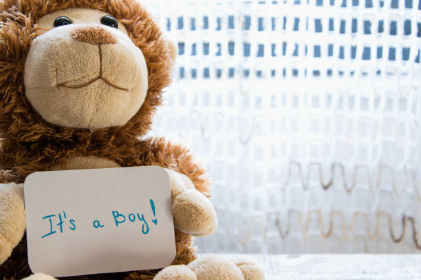 teddy bär hält eine ankündigung karte für baby boy, platz für text - baby congratulating toy birthday stock-fotos und bilder