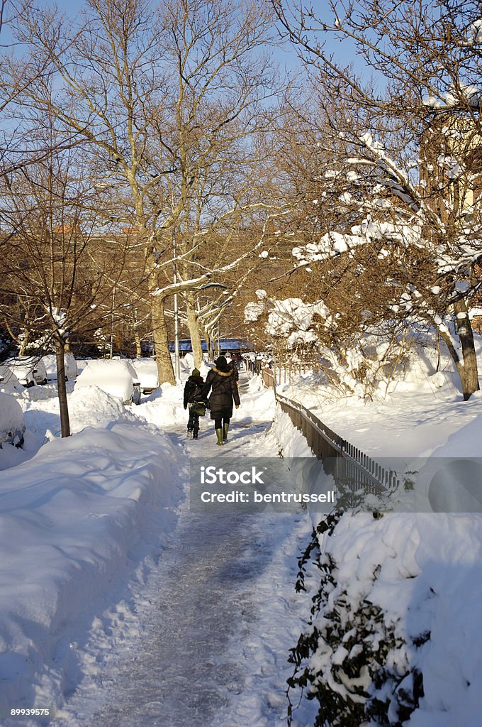 Camino a través de la nieve - Foto de stock de Aire libre libre de derechos