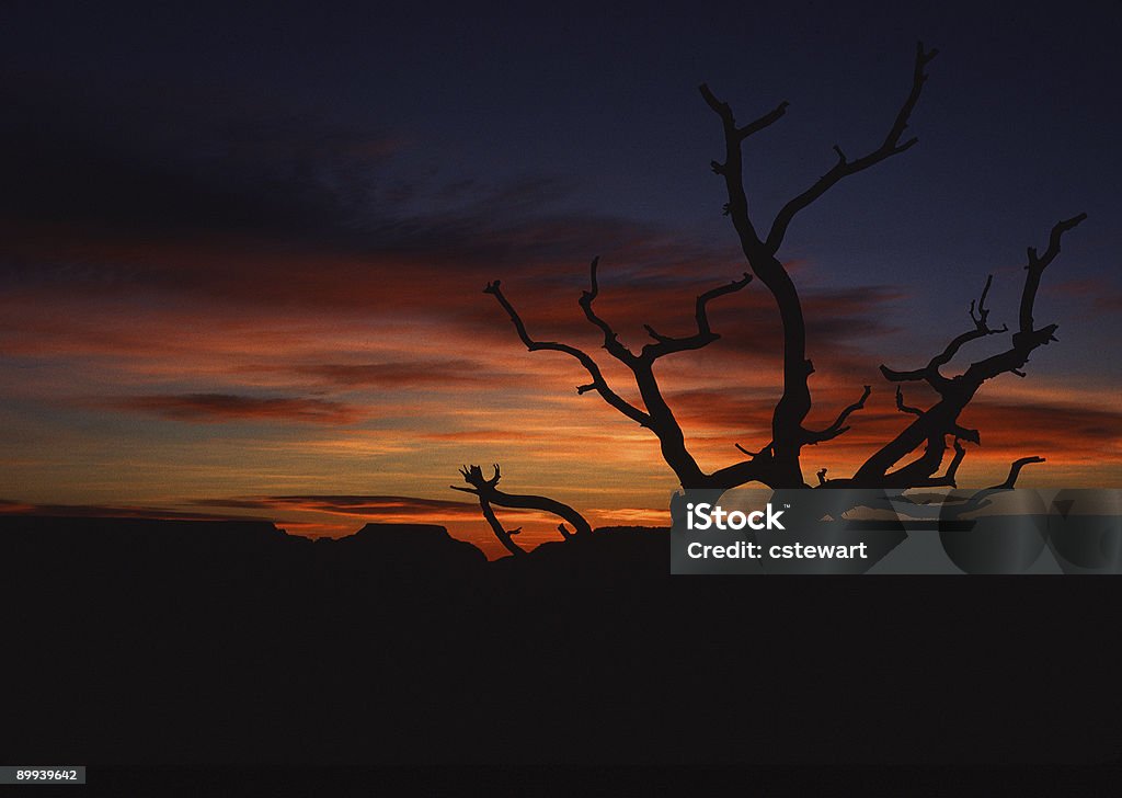 Siluetta di Alba, Grand Canyon - Foto stock royalty-free di Alba - Crepuscolo