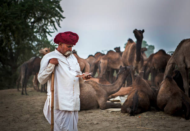 верблюжьего торговца в пушкарь верблюда ярмарка - business traditional culture journey india стоковые фото и изображения