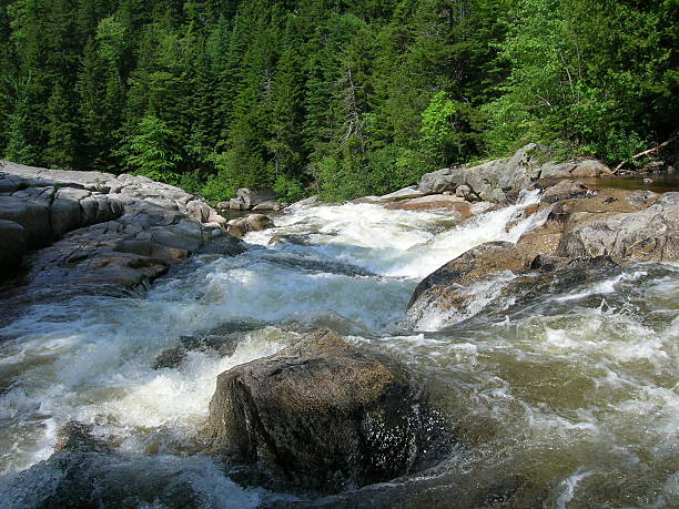no rio - rapid appalachian mountains autumn water - fotografias e filmes do acervo