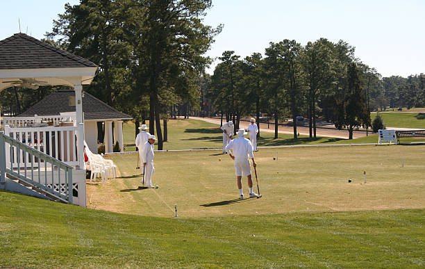 istock Croquet at the club 89940038