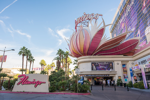 Las Vegas, Nevada, November 23, 2017: The beautiful and striking neon sign at the historic Flamingo hotel and casino, a landmark on the Las Vegas Boulevard strip. Millions visit Las Vegas yearly.