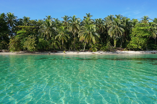 Peaceful Caribbean beach with tropical vegetation and clear water viewed from the sea, Zapatillas islands, Bocas del Toro, Panama