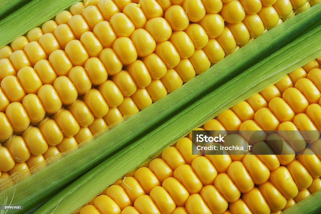 Corn auf Geschäftsschluss - Lizenzfrei Extreme Nahaufnahme Stock-Foto