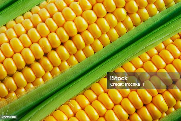 Corn Auf Geschäftsschluss Stockfoto und mehr Bilder von Extreme Nahaufnahme - Extreme Nahaufnahme, Farbbild, Formatfüllend