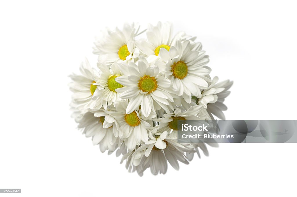 Ramo de flores - Royalty-free Isolado Foto de stock