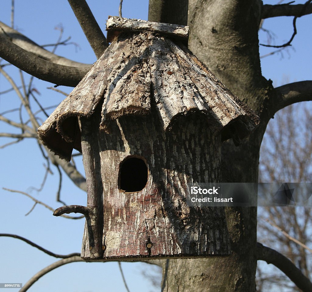 Ptak Dom-Wood - Zbiór zdjęć royalty-free (Bez ludzi)