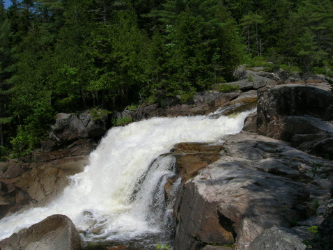Gibbon Falls in Yellowstone National Park with early spring runoff in April 2022.
