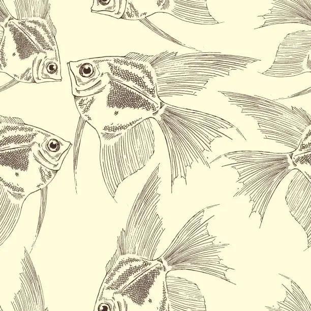 Vector illustration of hand drawn Angel fish