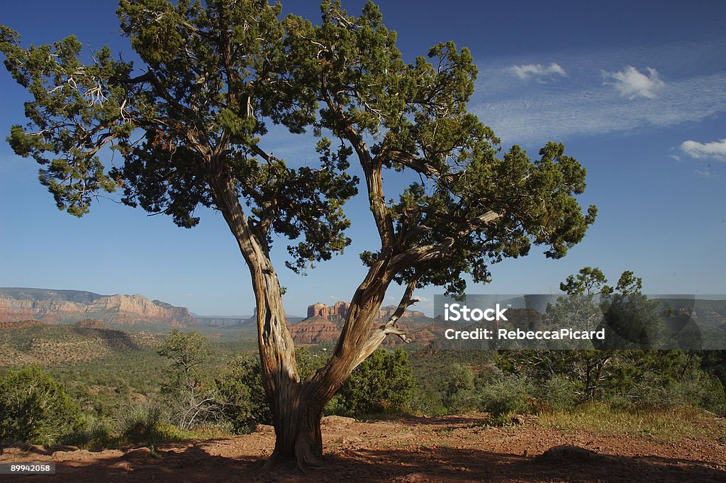 Sedona - Lizenzfrei Arizona Stock-Foto