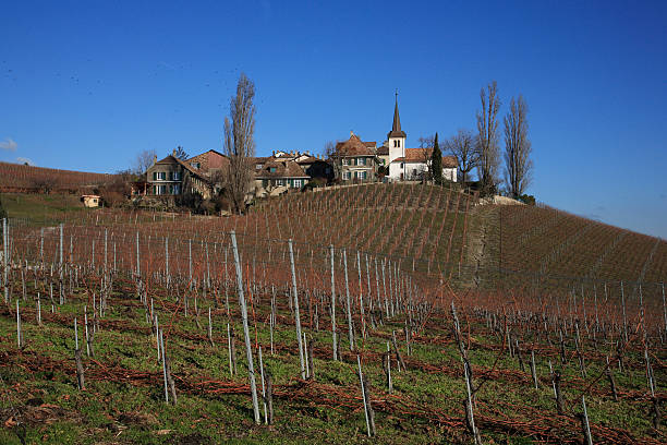 istock Swiss village on the coast 89942177
