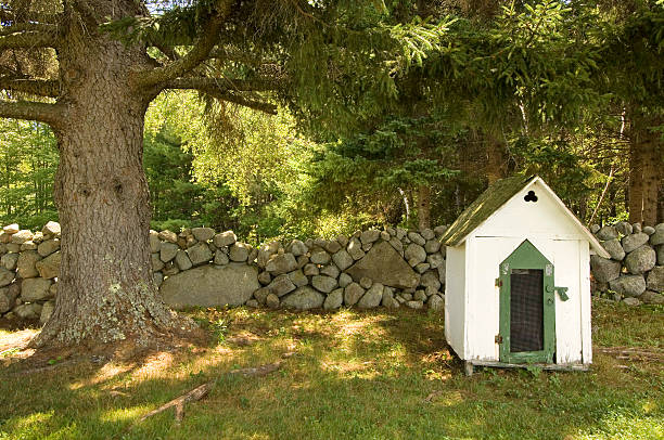 Old  Dog House stock photo