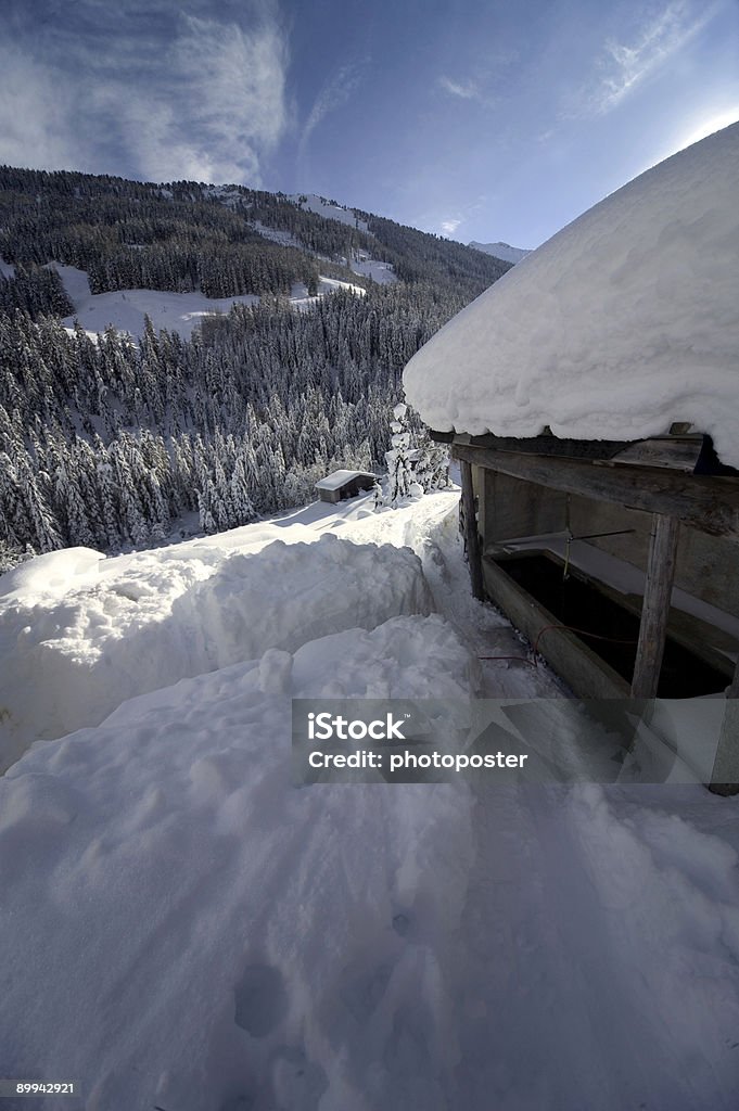 Okresie zimowym - Zbiór zdjęć royalty-free (Alpy)