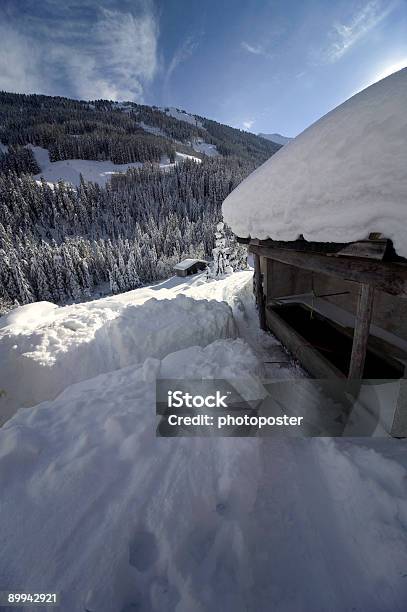 Okresie Zimowym - zdjęcia stockowe i więcej obrazów Alpy - Alpy, Austria, Bez ludzi