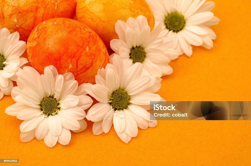 Pomarańczowy Wielkanoc jaja - Zbiór zdjęć royalty-free (Bez ludzi)