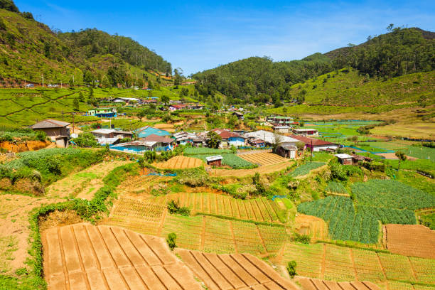 istock Nuwara Eliya city view 899430824