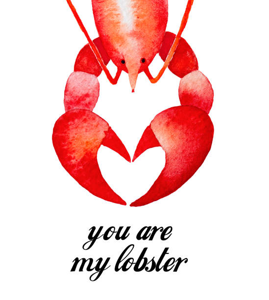 ilustraciones, imágenes clip art, dibujos animados e iconos de stock de carácter de langosta, etiqueta de día de san valentín feliz, taza, póster, diseño de tarjetas de felicitación. - lobster