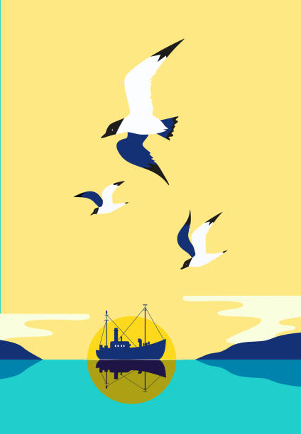 ilustrações de stock, clip art, desenhos animados e ícones de fishing vessel icon - rede de arrastão