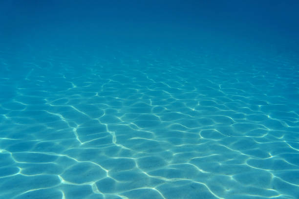 Ripples of sunlight underwater on sandy seabed