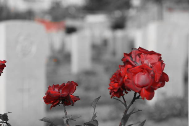 istock The British Cemetery of Ramle , Israel 899439230