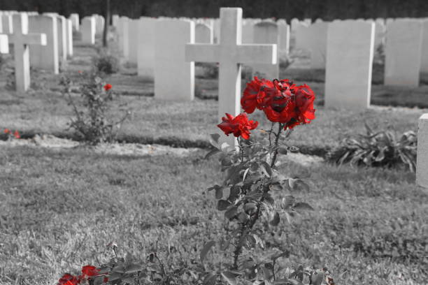 istock The British Cemetery of Ramle , Israel 899439330