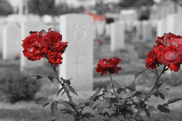 istock The British Cemetery of Ramle , Israel 899439390